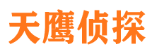 环县市私家侦探